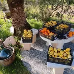 Tatil Evi Podere Le Palme