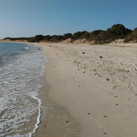 Podere Le Palme Prázdninový dům Castiadas