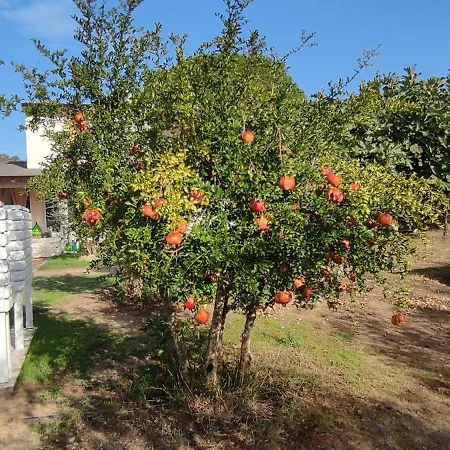 Prázdninový dům Podere Le Palme Castiadas