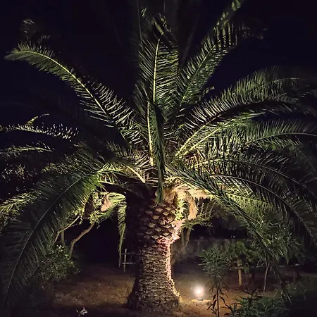 Podere Le Palme